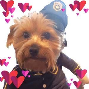 Meet your Posher, June